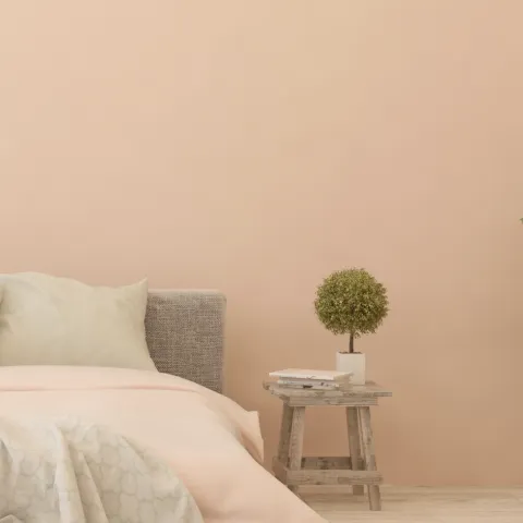 1969 | Pale Pink Paint